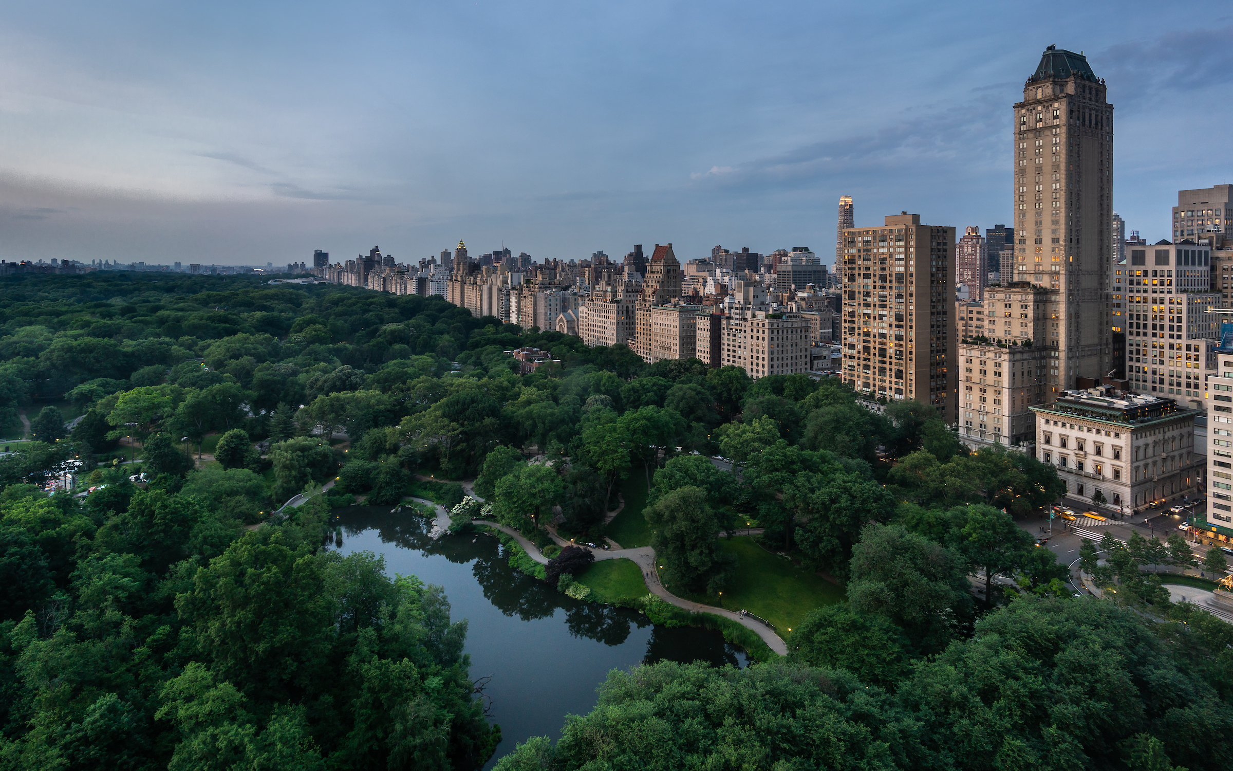 Central Park and NYC Skyline